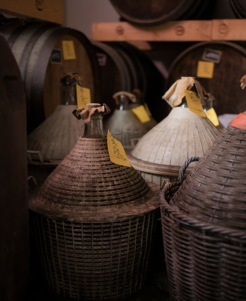 damme jeanne d'armagnac